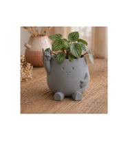 Alvera Smiley Face Planter – 3D Baskı Gülümseyen Karakterli Saksı-Gri