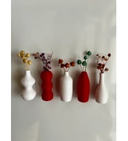 Miniflora - 5'li Magnetli Mini Vazo - Kırmızı & Beyaz - Buzdolabı Süsü