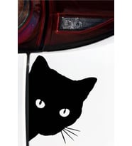 Sevimli Kedi Oto Sticker Siyah 2 Adet