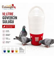 ÜZÜMOĞLU 1 ADET 10 Litre Güvercin Suluğu – Büyük Kapasiteli Plastik Güvercin Su Kabı Dayanıklı ve Hijyenik Tasarım
