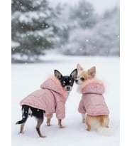 Pinky Pie Pembe Köpek Montu Kışlık Ceket