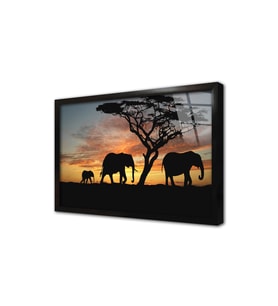 Safari Çerçeveli Cam Tablo