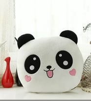Panda Yastık Arkadaşa Hediye  35*35cm