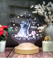 Kedi Fotoğraflı LED Lamba, Kişiye Özel Fotoğraf ve İsimli Evcil Hayvan Temalı Lamba Hediye