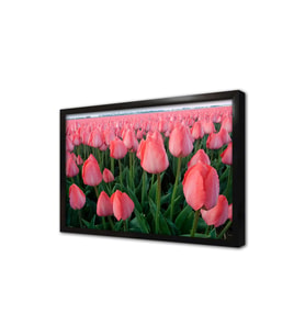 Laleler Çerçeveli Mdf Tablo