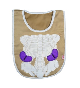 Eğitici Organ Önlüğü