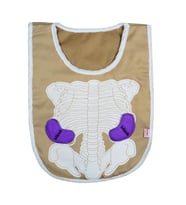 Eğitici Organ Önlüğü