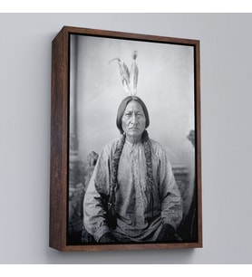Çerçeveli Oturan Boğa Tablosu, Amerikaya Karşı Savaşan Son Kızılderili Kabile Şefi, Sitting Bull (Beyaz)
