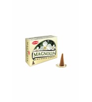 Magnolia Cones