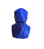 NCT 3D Printer Baskı Atatürk Büstü Mavi