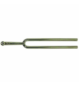 WITTNER WD920