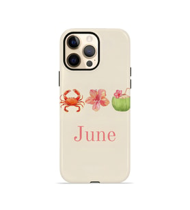 iPhone 12 Pro Vorian Çift Katmanlı MagSafe Kılıf June Seaside