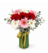 Yeşil polimer Vazoda Renkli Gerbera 9'lu