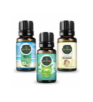 Yaz Esintisi + Fresh + Kır Çiçeği ( Oda Kokusu Aroma Terapi Buhurdanlık / Difüzör Yağı ) 3 Adet x 10 ML