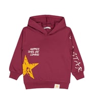 Civil Boys Erkek Çocuk Cool Star Baskılı 2-5 Yaş Sweatshirt - Bordo