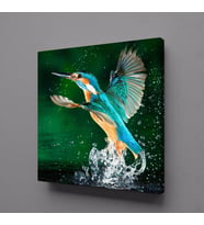 RENKLİ KUŞ KANVAS TABLO 90x90cm (Karışık)