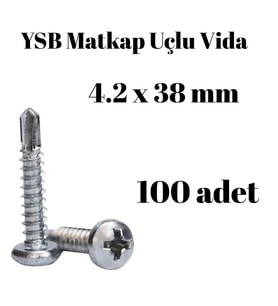 Yıldız Silindir Başlı 4.2x38 YSB Matkap Uçlu Akıllı Vida 100 Adet
