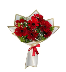 Beyaz Gold Ambalaj Kağıdında Kırmızı Gerbera Buketi