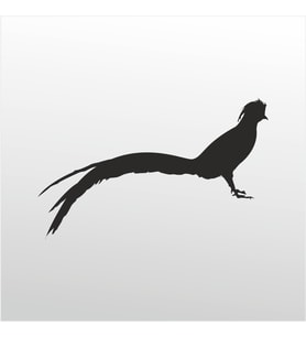 Folyo Sticker Anka Kuşu 80cm Uzunluk (Karışık)