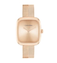 Calvin Klein CK25100101 Kadın Kol Saati