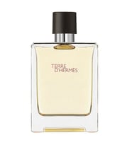 Hermes Terre D'Hermes EDT 100 ml Erkek Parfümü