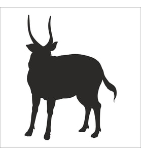 GEYİK FOLYO STİCKER 50cm Uzunluk (Karışık)