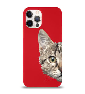 Apple iPhone 12 Pro Max Uyumlu Lansman Kılıf Catface Tasarımlı Altı Kapalı İçi Kadife Kaplı  Kapak (Şeffaf)