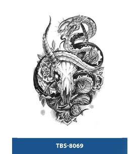 TBS-8069 ORTA BOY SARMAL KOBRA DESEN GEÇİCİ DÖVME-TATTO