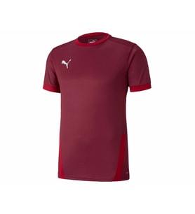 Puma Teamgoal 23 Jersey Erkek Futbol Forması 70417109 Siyah (Siyah)