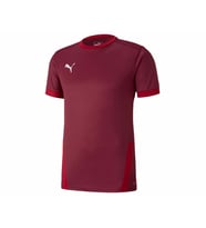 Puma Teamgoal 23 Jersey Erkek Futbol Forması 70417109 Siyah (Siyah)