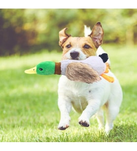 Sesli Ördek Şekilli Peluş Köpek Oyuncağı