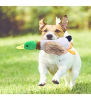 Sesli Ördek Şekilli Peluş Köpek Oyuncağı