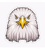 Araba için Kartal Oto Sticker Yapıştırması Etiket  17CM q6
