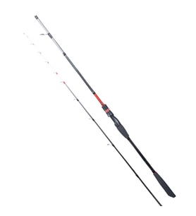 Ryuji Spectra SP 198cm 70-300gr 2 Parça Bot Kamışı