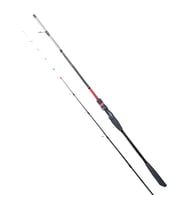 Ryuji Spectra SP 198cm 70-300gr 2 Parça Bot Kamışı
