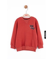 Erkek Bebek Sweatshirt 9-24 Ay 45624