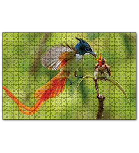 Cakapuzzle Sinekkapan Kuşu Yavrusunu Besliyor  Puzzle Yapboz MDF (Ahşap) (120 Parça)