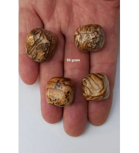 Ağaç Desenli Jasper 50 Gram Tamburlu Parçalar 547