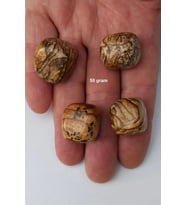 Ağaç Desenli Jasper 50 Gram Tamburlu Parçalar 547