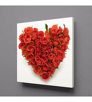 GÜLLERDEN KALP KANVAS TABLO 25x25cm (Karışık)