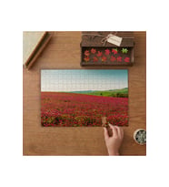Kırmızı Yonca Bahçesi Tasarımı 240 parça Ahşap Puzzle Ahşap Kutuda MP02035