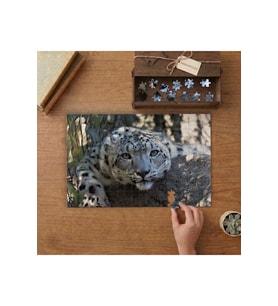 Leopar - Büyük Kedi Tasarımı 240 parça Ahşap Puzzle Ahşap Kutuda MP05200