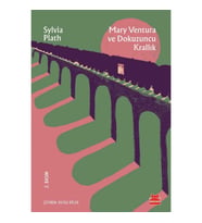 Mary Ventura ve Dokuzuncu Krallık