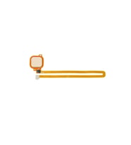 Huawei Uyumlu Gr5 2017 Uyumlu Home Parmak Okuyucu Filmi Flex Gold Renk