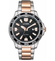 Citizen Eco-Drive AW1524-84E Erkek Kol Saati