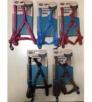 ANS Mini Breed Köpek Göğüs Tasması Deri Takım 2-4 Kg Olan Köpeklere