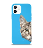Apple iPhone 12 Mini Uyumlu Lansman Kılıf Catface Tasarımlı Altı Kapalı İçi Kadife Kaplı  Kapak (Şeffaf)
