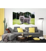 KEDİ MDF TABLO-2548 MODEL-B