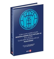 Türk Kamu Görevlileri Sendikalarının Faaliyetleri ve Rol Model Ülkelerin Sendikaları ile Mukayesesi