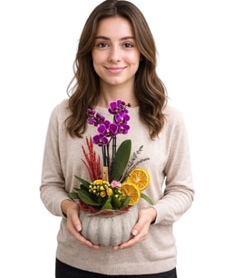 Saksıda Mini Mor Orkide ve Kalanchoe